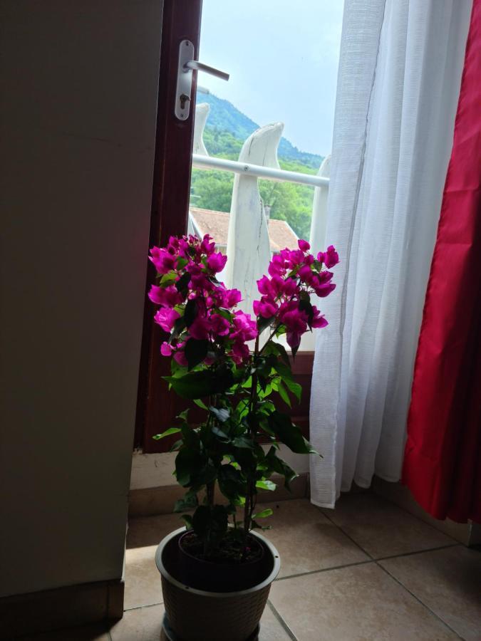 Appartement Route De Cursinges Cervens Exterior photo